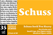 SchussSerifProHeavy No.35 (1 Font), a Serif Font by typic schuss (Thumbnail 1 of 6)