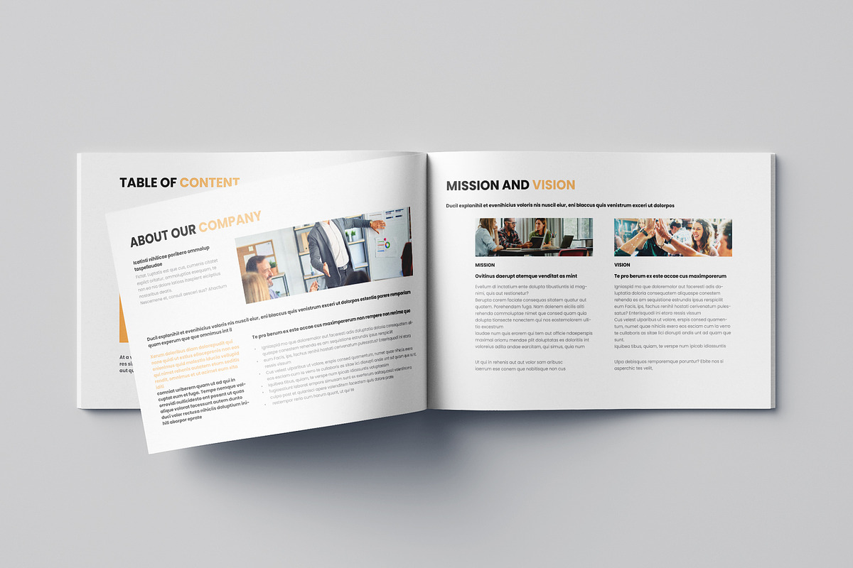Business Plan Template Landscape, a Brochure Template by Pixelpick