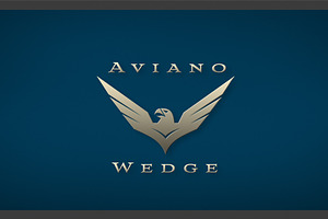 Aviano Wedge