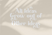 Shaqilla - modern serif, a Serif Font by ribethstudio (Thumbnail 7 of 15)