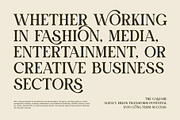 Chiko Elegant Ligature Serif Font, a Serif Font by Perfectype (Thumbnail 3 of 8)