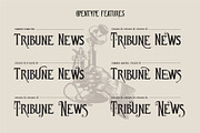 Archsara, a Serif Font by Burntilldead (Thumbnail 5 of 12)