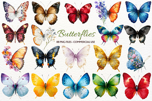 Floral Butterfly Clipart Summer PNG, an Animal Illustration by SugarCloudStudioArt