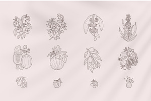 Orchard Logo Elements And Templates