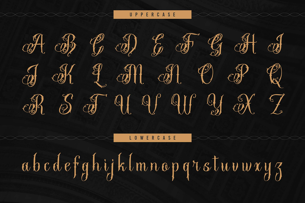 Stejita | Tattoo Script Font, a Script Font by Denustudios (Photo 10 of 14)