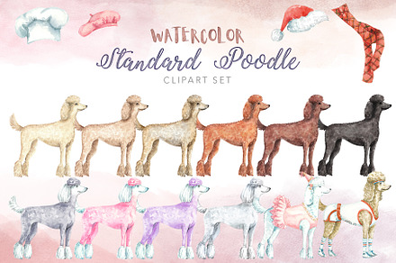 Watercolor Poodle Dog Clipart