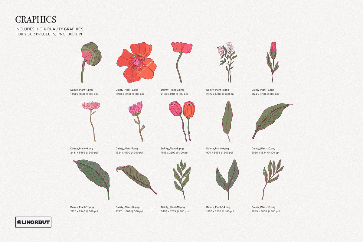 Dainty Botanical Pattern and Prints, a Pattern Graphic by likorbut (Photo 8 of 10)