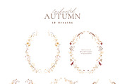 Autumn Watercolor Wildflowers, a Decorative Illustration by Altea Design Studio (Thumbnail 4 of 11)