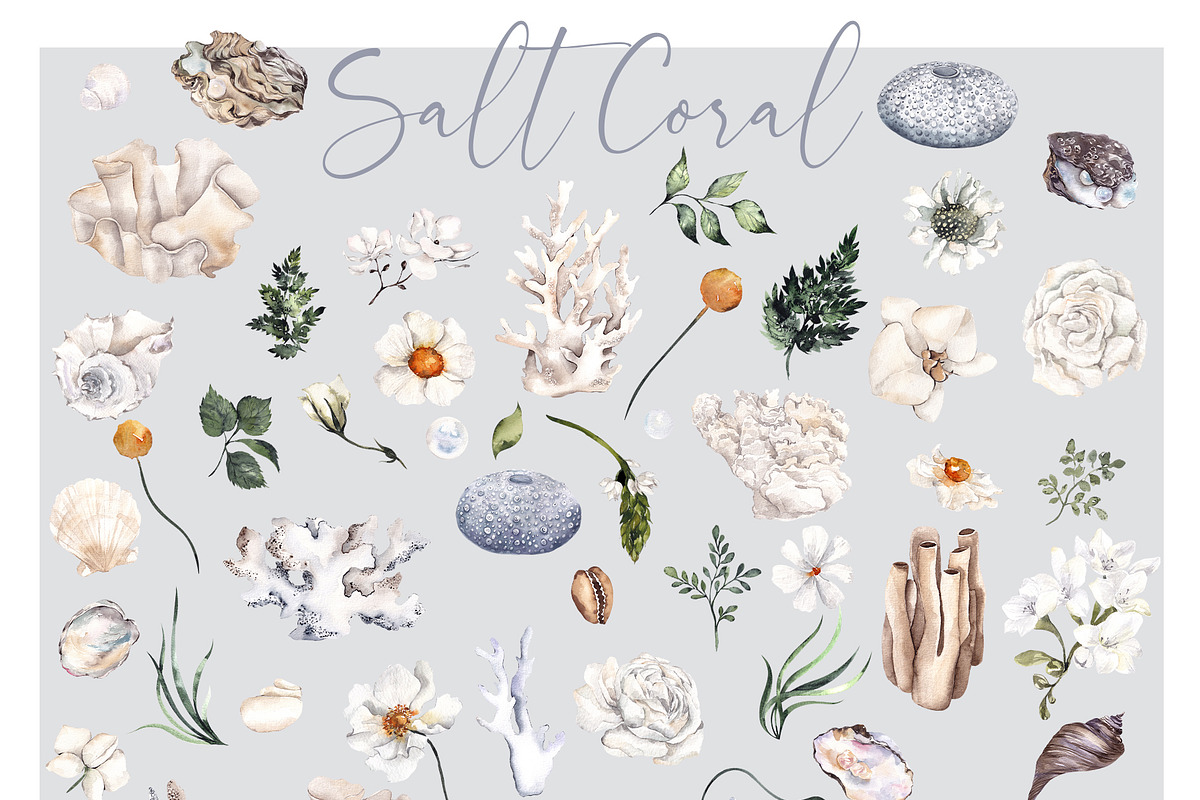 Salt Coral. Sea shell and flowers., an Object Illustration by ma_i_vi (Photo 12 of 12)