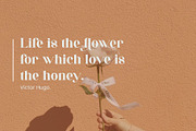Valleki - Beautiful Serif Font, a Serif Font by Aqeel_Art (Thumbnail 9 of 12)