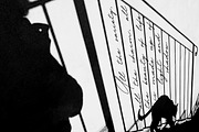 Melancholy Elegant Font, a Handwritten Font by AnMark (Thumbnail 8 of 12)