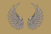 160 Pairs of Vector Wings, an Object Graphic by Damien (Thumbnail 6 of 17)