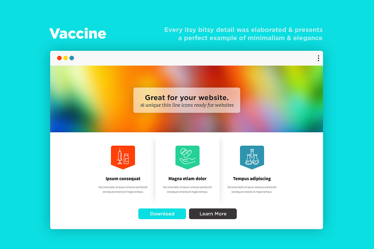 Vaccine | 16 Thin Line Icons, an Outline Icon by Alex Blogoodf (Photo 8 of 15)