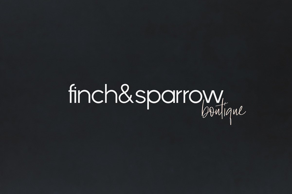 Phoenix | A Multi-Weight Sans, a Sans Serif Font by Jen Wagner Co (Photo 12 of 13)