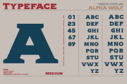 Alpha wolf - Serif font, a Serif Font by Artistic & Unique (Thumbnail 2 of 12)