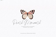Tallulah Signature Script, a Script Font by Callie Rian & Co. (Thumbnail 17 of 17)