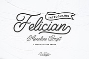 Felician Monoline Script, a Script Font by Weape Studio (Thumbnail 1 of 9)