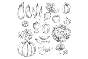 Vegetables Sketch Vector Isolated Icons