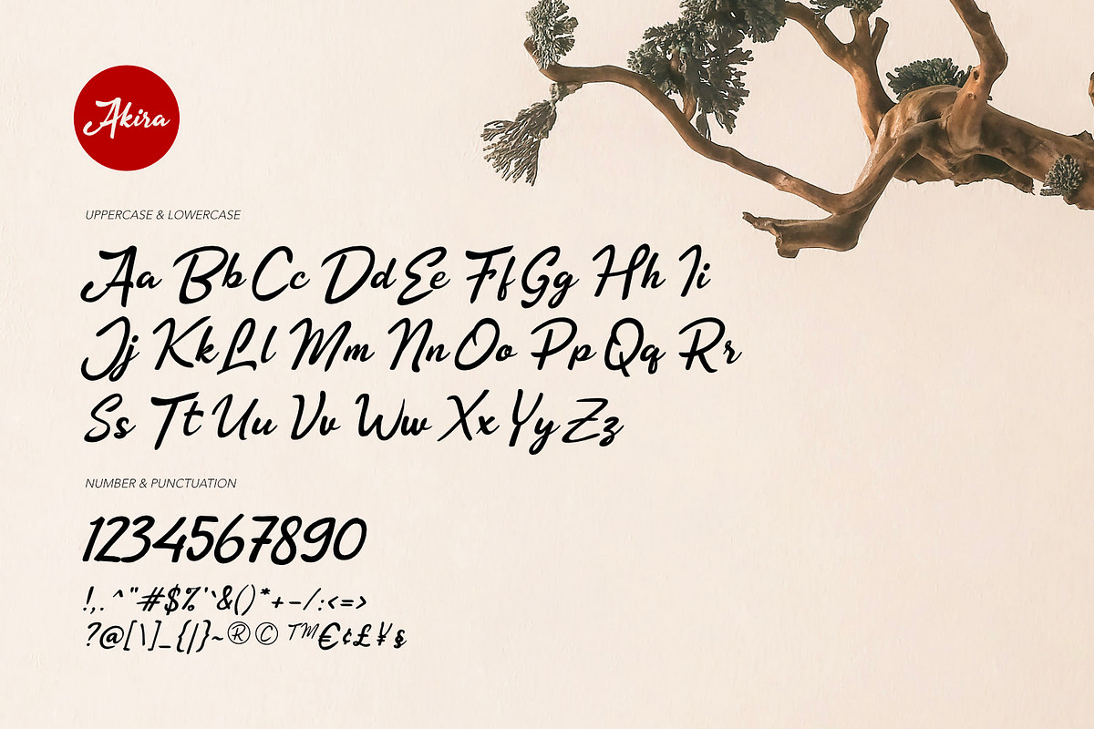 Akira - Zenbrush Script, a Script Font by ikiiko (Photo 6 of 8)