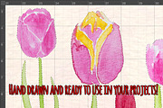 53 Bright Tulip Watercolor Clip Art, a Seasonal Illustration by Violet LeBeaux (Thumbnail 3 of 3)