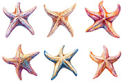 Starfish Watercolor Clipart, an Illustration by SinaCreation (Thumbnail 4 of 5)