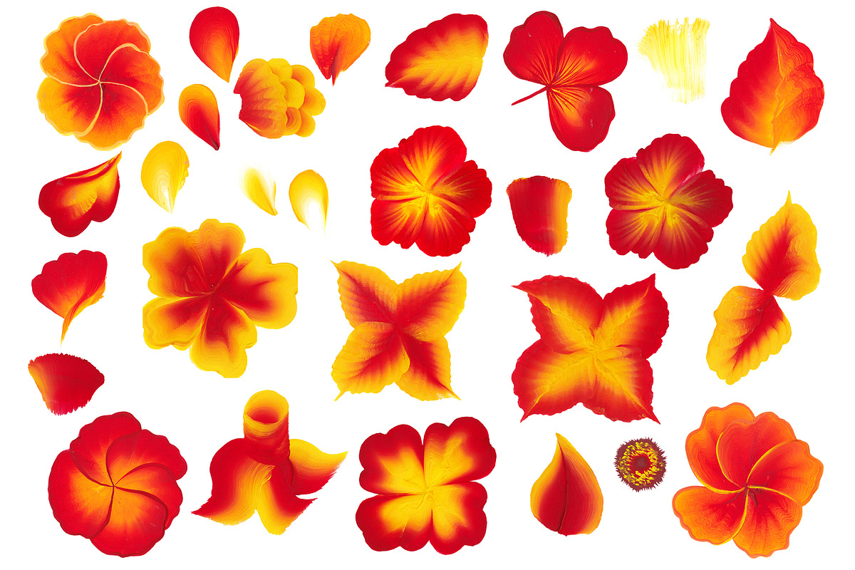 150 One stroke flowers style., a Decorative Illustration by redstudio (Photo 6 of 7)