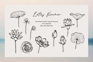Lotus Flower sketch line art