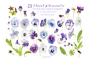 Pansies-Design pack, an Illustration by watercolorwild.graphics (Thumbnail 3 of 10)