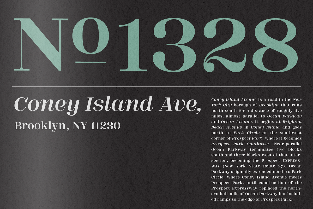 DT Augustina Serif Display, a Serif Font by Deveze Type Foundry (Photo 11 of 12)
