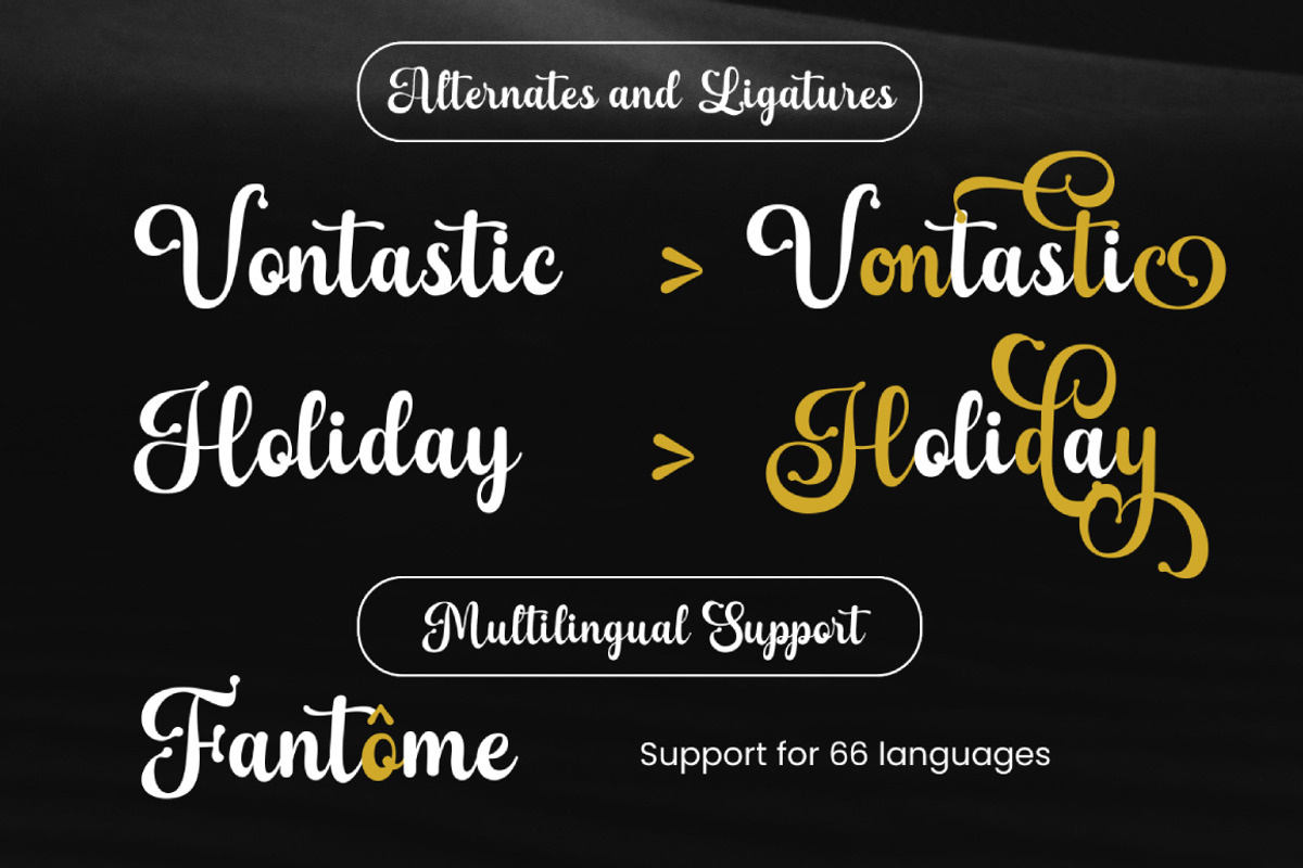 Liskiya Seholly Script, a Script Font by Madjack.font (Photo 13 of 15)