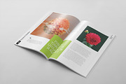 Magazine Template 42, a Magazine Template by pmvch (Thumbnail 12 of 15)