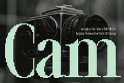 The Silver Editorial Pixel Version, a Serif Font by SilverStag Type Foundry (Thumbnail 9 of 20)