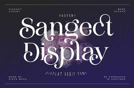 Sangect Display