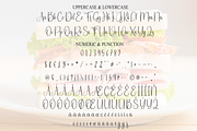 Sandwich | Script Font, a Handwritten Font by Scratchones (Thumbnail 7 of 9)