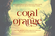 Dragon Hoarders Font, a Serif Font by 177Studio (Thumbnail 5 of 8)