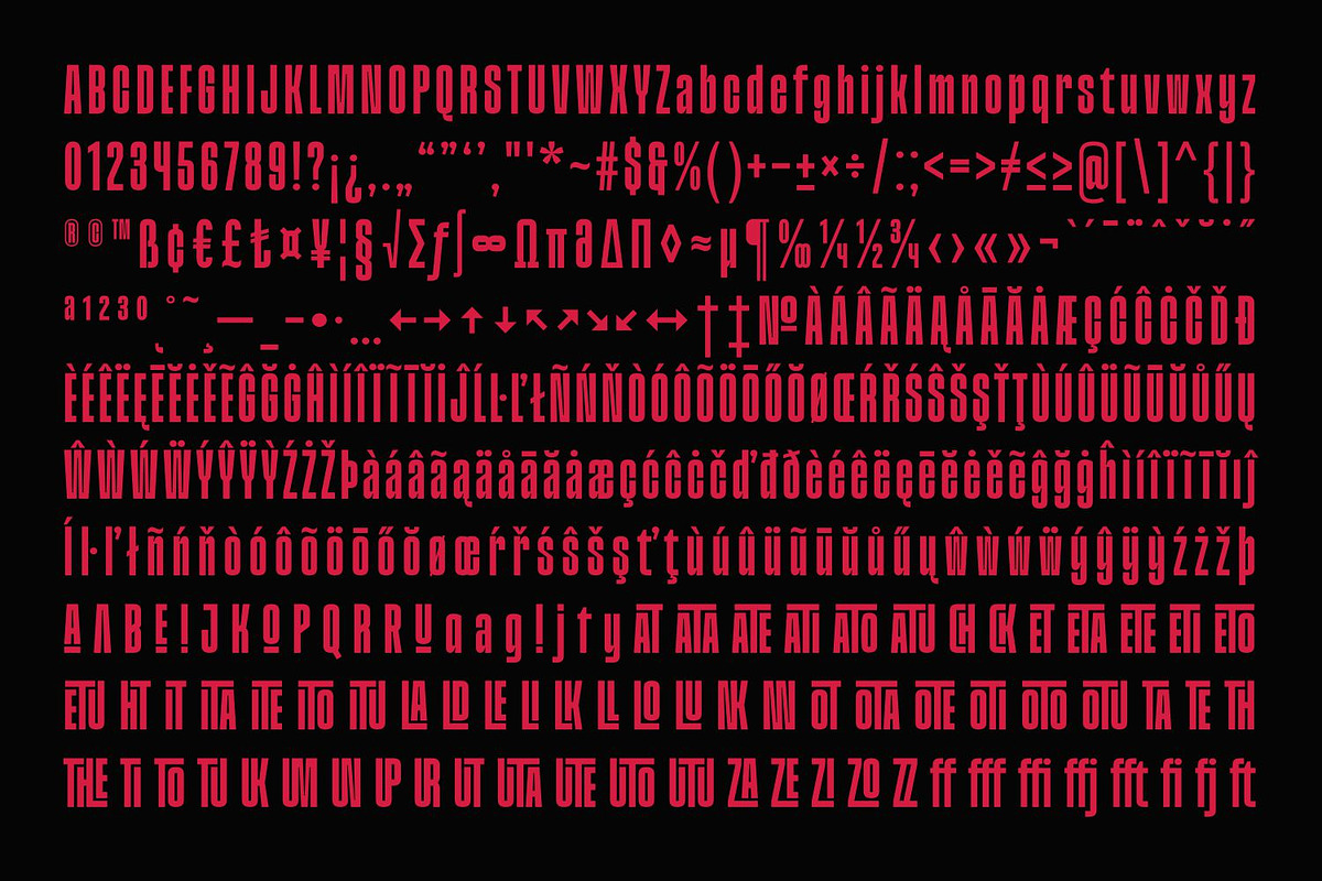 Division Grotesk Font Family, a Sans Serif Font by Asenbayu (Photo 15 of 15)