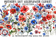 Mother’s Day Wildflower Clipart, an Illustration by OK Design (Thumbnail 1 of 6)