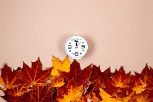 Clock and autumn leaves on beige background, saving winter time, a Business Photo by vimart
