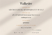 Walkester Font Duo, a Serif Font by BrandSemut (Thumbnail 13 of 14)