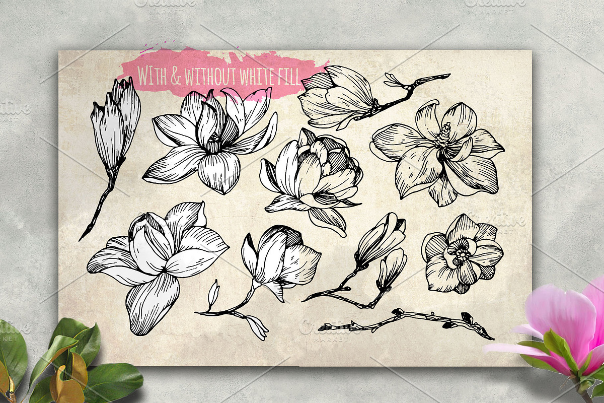 Magnolia flowers. Engraving style., a Decorative Illustration by Alena Kaz (Photo 2 of 12)