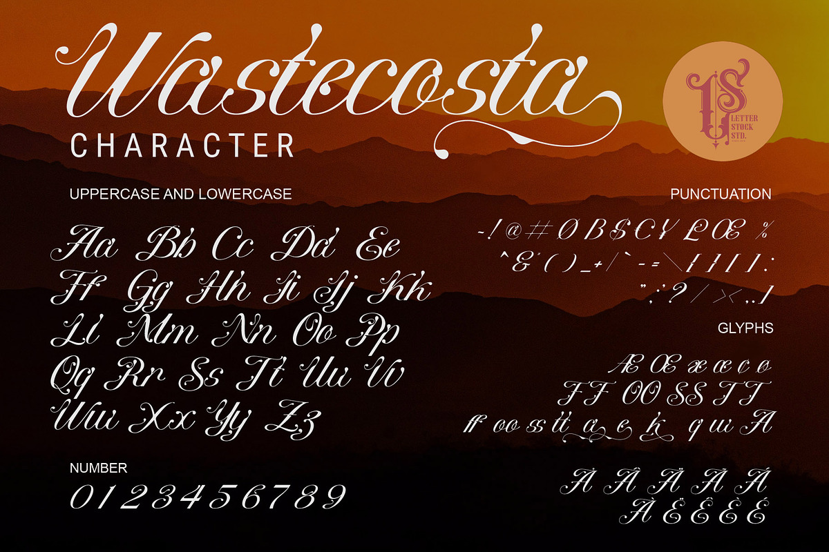 Wastecosta, a Script Font by LetterStock (Photo 5 of 7)