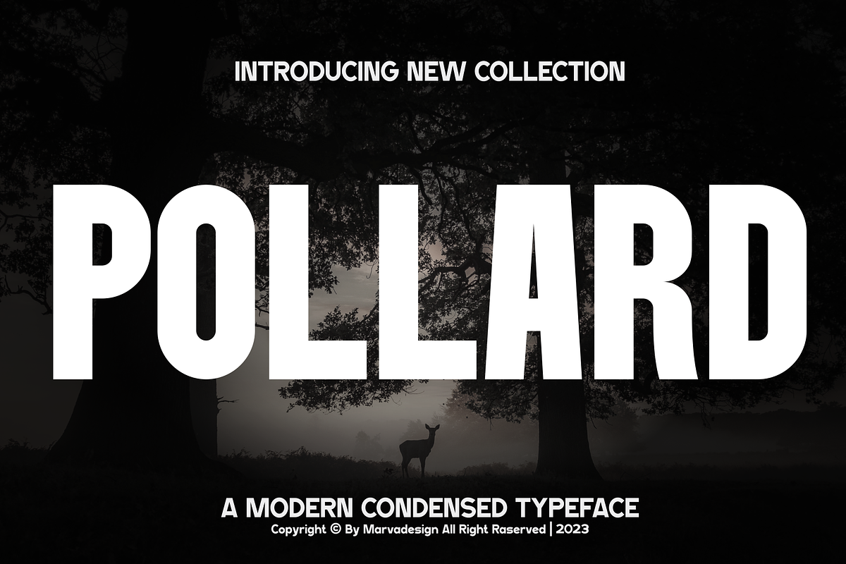 Pollard - A Modern Condensed, a Sans Serif Font by Marvadesign (Photo 1 of 7)