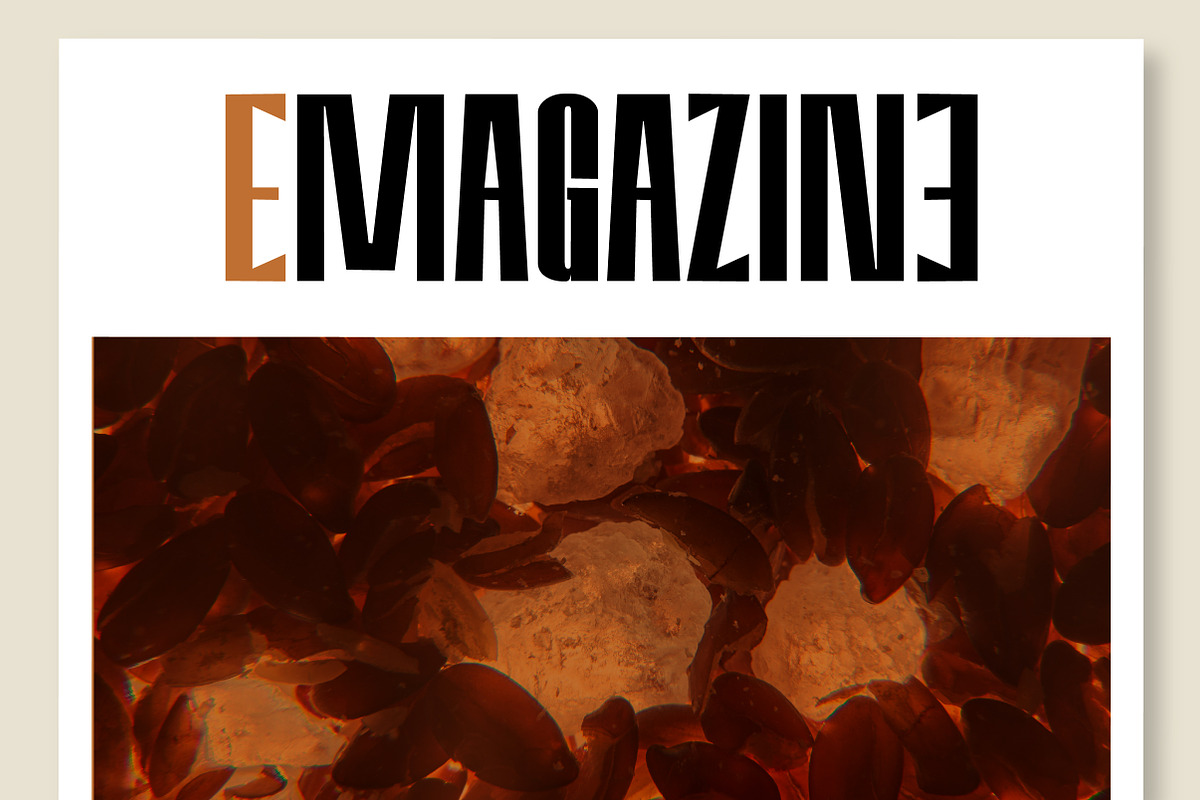 Amvergo Modern Sans Family, a Sans Serif Font by Lettertype Studio (Photo 12 of 18)
