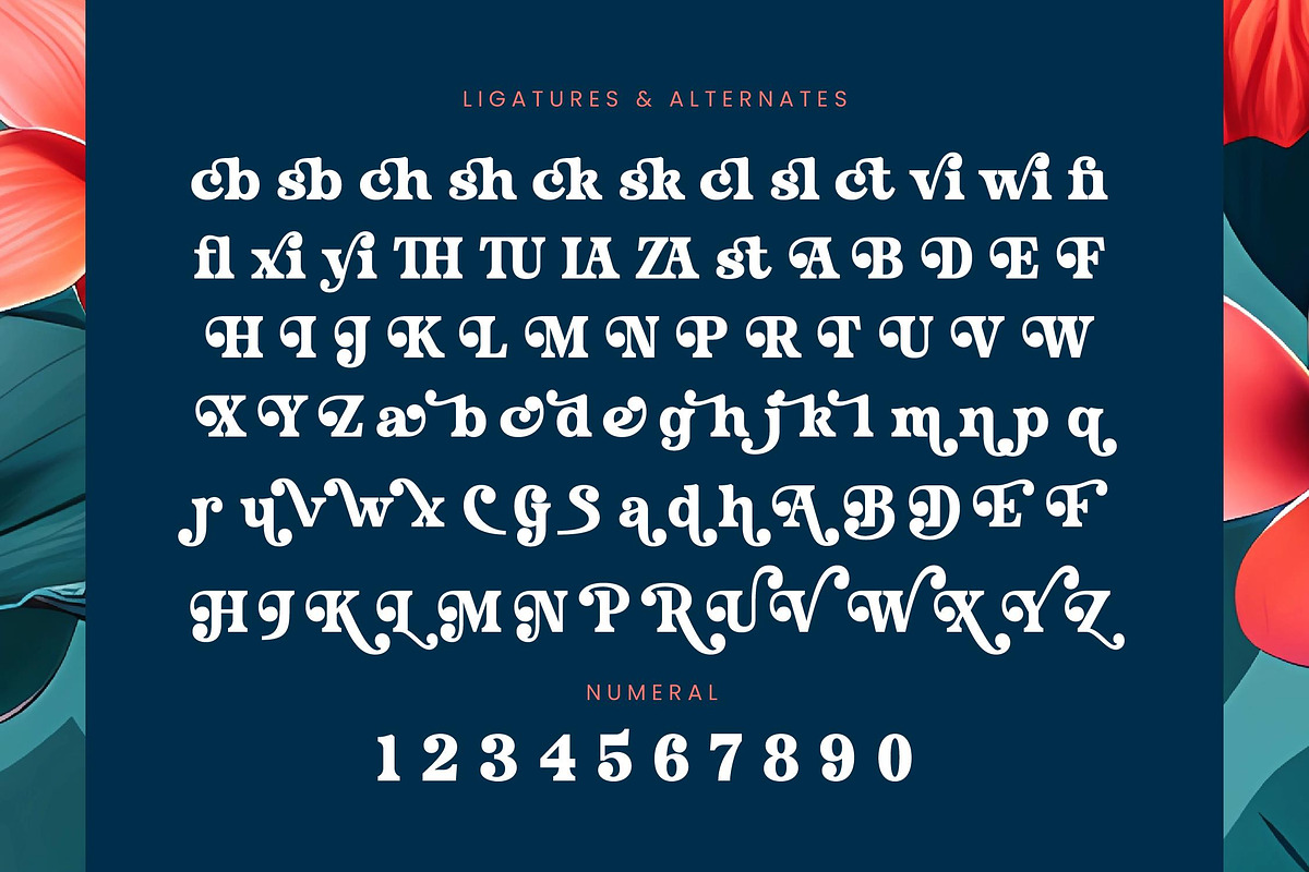 Husty Birds Modern Retro Serif, a Serif Font by timelesstype.co (Photo 18 of 20)