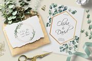 Eucalyptus – Watercolor Collection, a Decorative Illustration by Letters-Shmetters (Thumbnail 4 of 8)