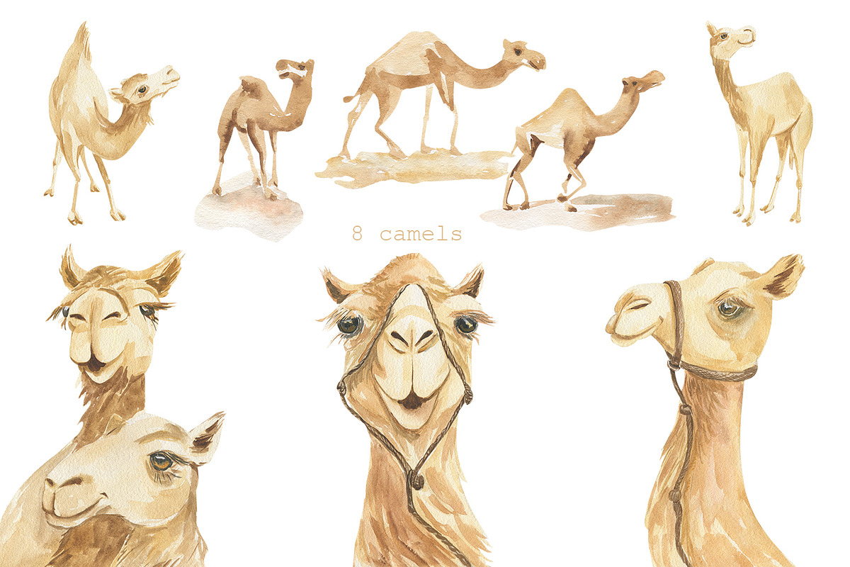 Desert. Watercolor poster set, a Decorative Illustration by Love Watercolor Store (Photo 2 of 7)