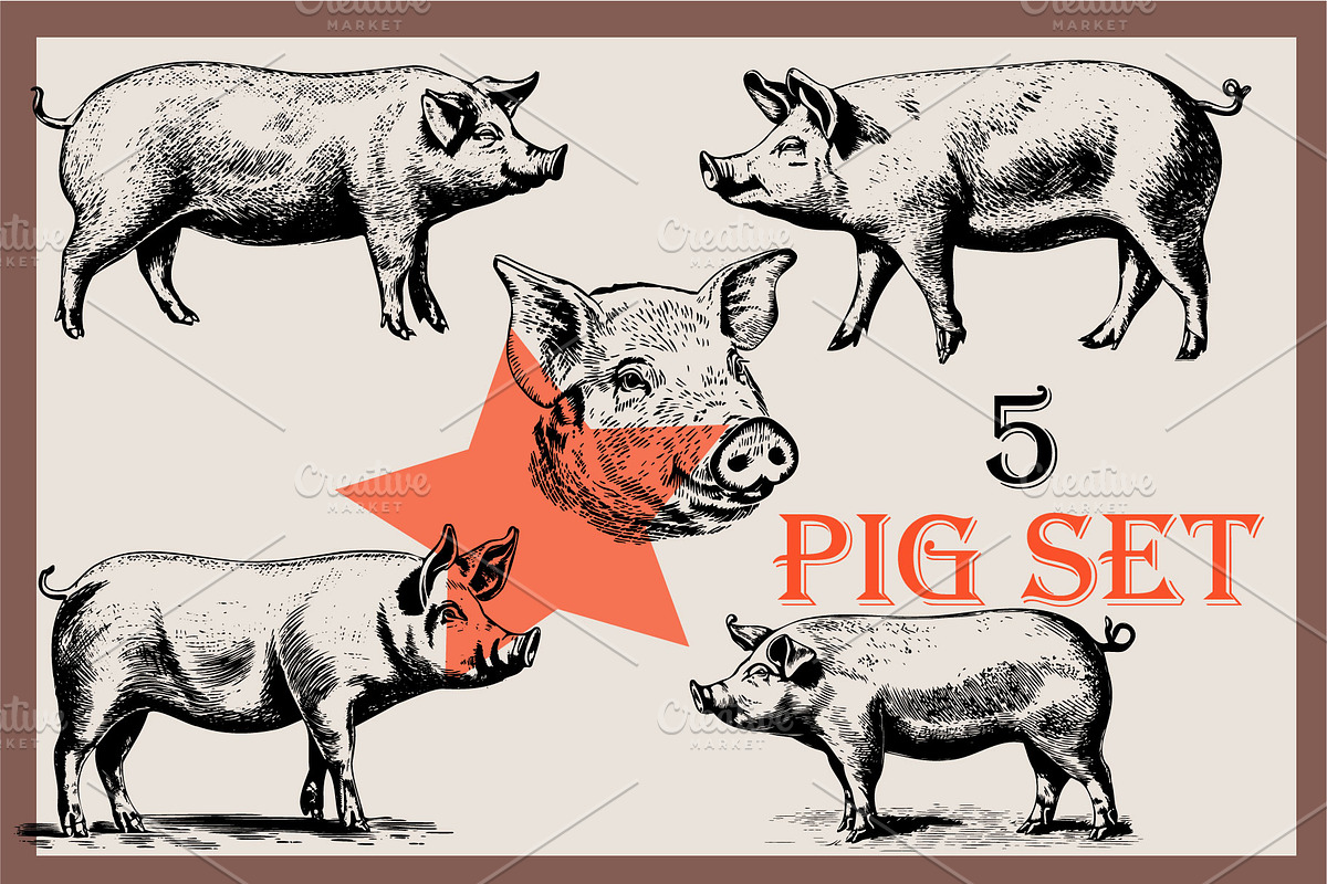 Farm animals collection, a Graphic by IPVector (Photo 3 of 7)