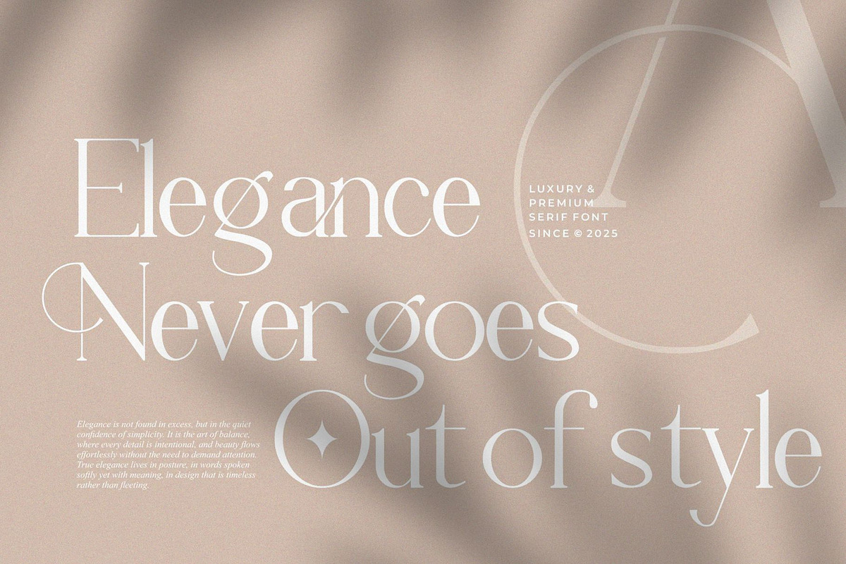 Digholl || Modern Minimalist Serif, a Serif Font by Ermedia Studio (Photo 9 of 10)