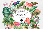 Tropical leaves graphic pack, an Illustration by Belusuab (Thumbnail 1 of 16)
