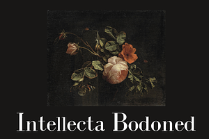 Intellecta Bodoned